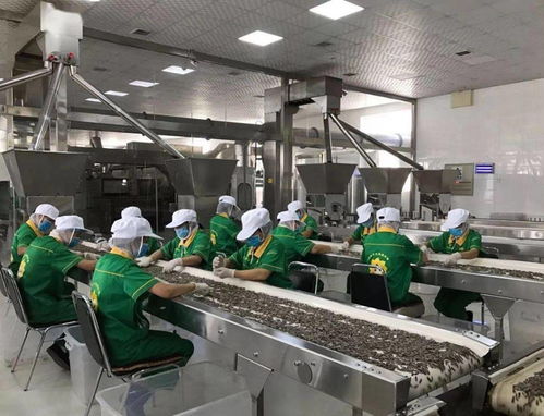 我市服裝輔料銷售工作成績顯著 互聯網營銷精準鏈接10萬粉絲 全網曝光量突破1億次